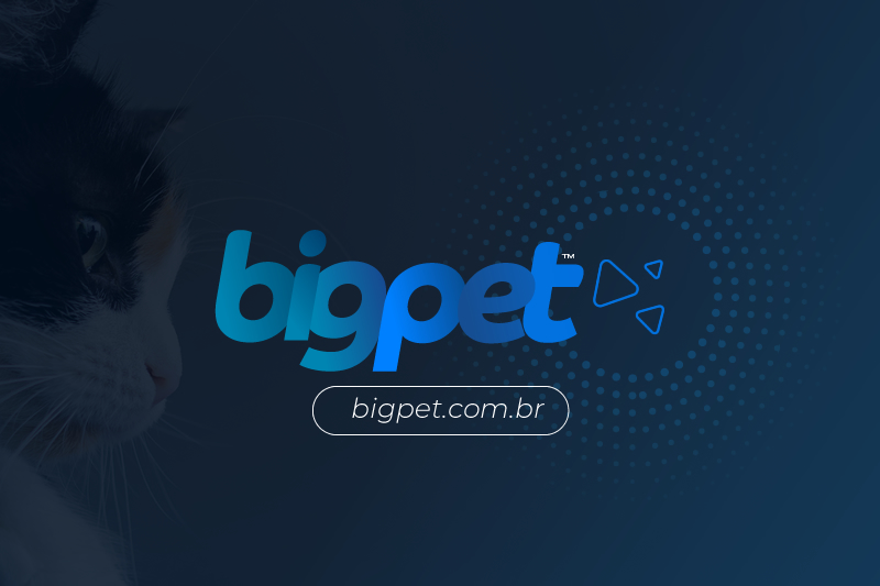 Bigpet - Vet Store